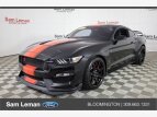 Thumbnail Photo 5 for 2019 Ford Mustang